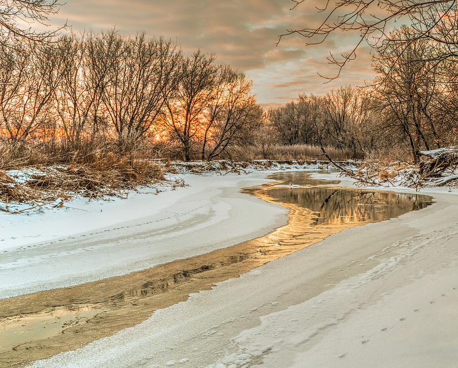 Winter Photograph - Morning Light on the Riverbank by Garvin Hunter