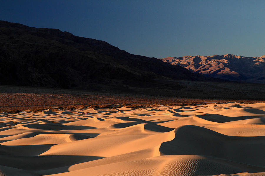 Morning light on the sand dunes of Death valley Photograph by Pierre Leclerc Photography