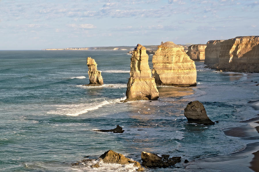 Morning Light on the Twelve Apostles Photograph by Catherine Reading