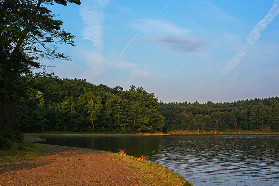 Morning Light on Walden Pond Concord MA Photograph by Toby McGuire