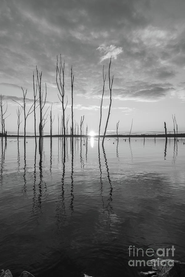 Morning Light over a lake BW Photograph by Michael Ver Sprill