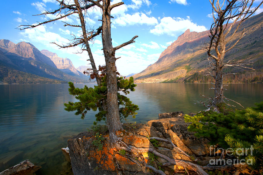 Morning Light Over St. Mary Lake Photograph by Adam Jewell