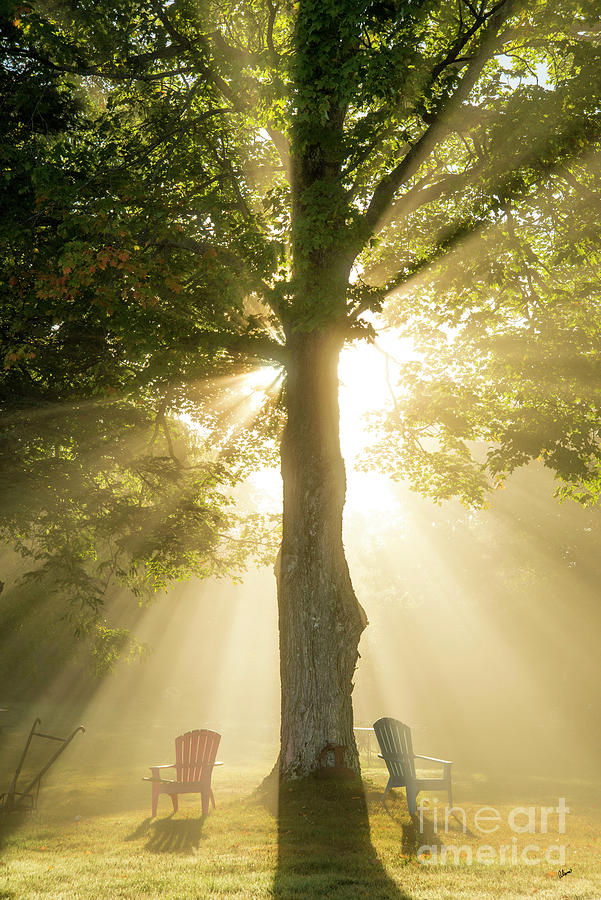 Morning Rays of Hope Photograph by Alana Ranney