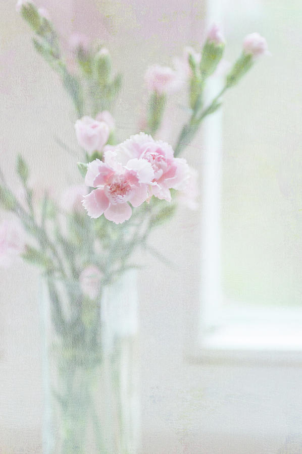 Morning Light. The Bouquet of Carnations Photograph by Jenny Rainbow