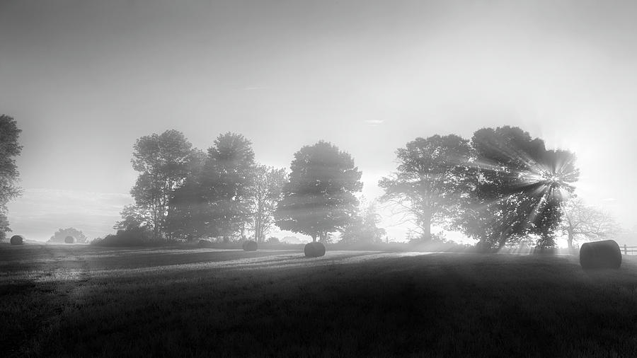 Morning Lights bw Photograph by Bill Wakeley