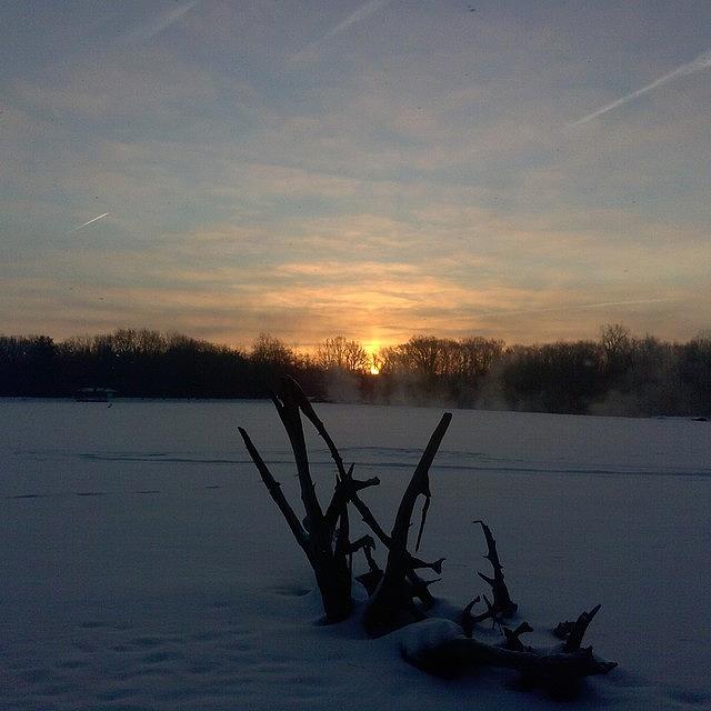 Winter Photograph - Morning Look Across Mott Lake. The by Douglas Carey