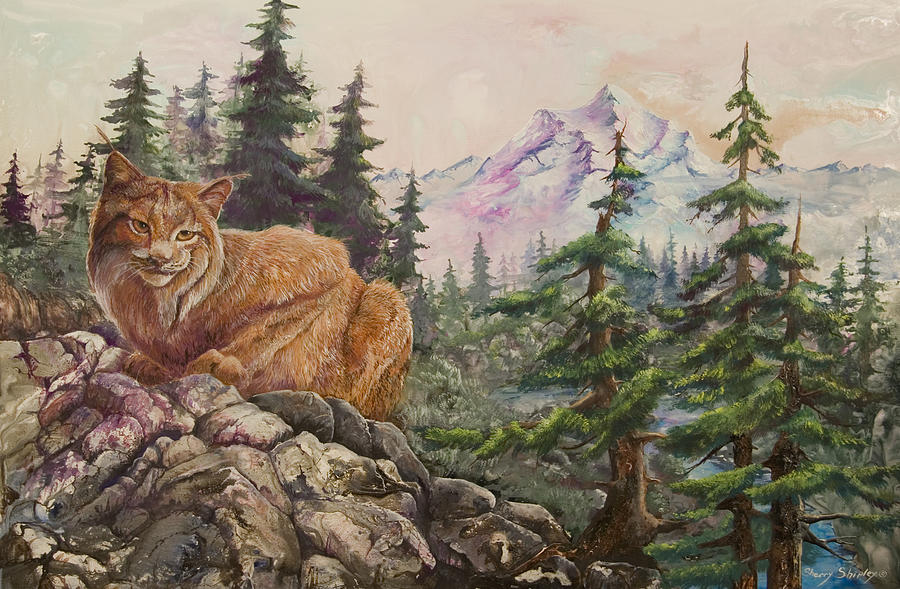 Tree Painting - Morning Lynx by Sherry Shipley