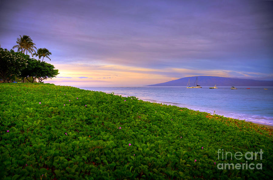 Morning Maui Light  Photograph by Kelly Wade