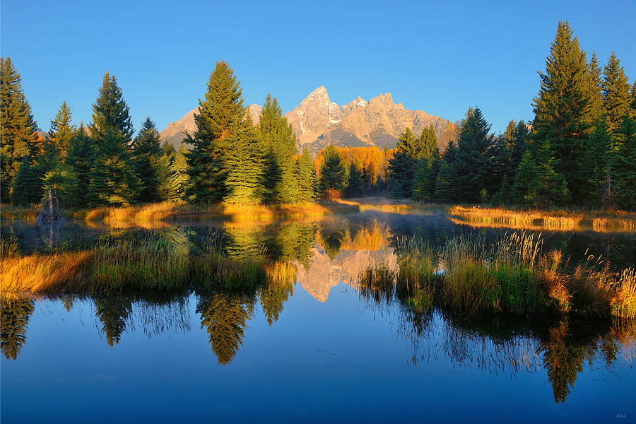 Morning Mirror at Schwabacher Landing Photograph by Greg Norrell