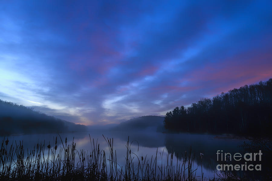 Morning Mist at Dawn Photograph by Thomas R Fletcher