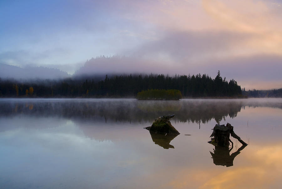 Fall Photograph - Morning Mist Burning by Michael Dawson