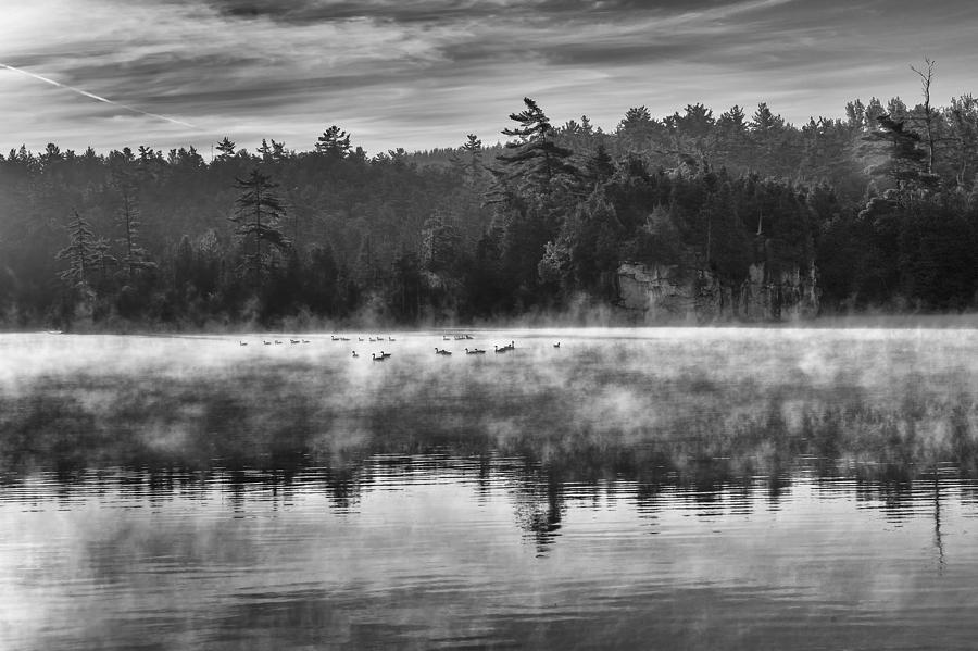 Morning Mist Photograph by Eunice Gibb