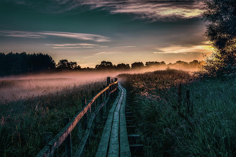 Morning mist #g6 Photograph by Leif Sohlman