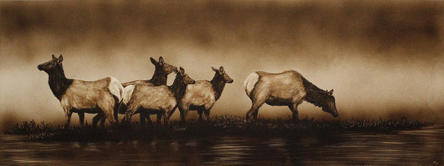 Wildlife Drawing - Morning Mist by Heather Ward