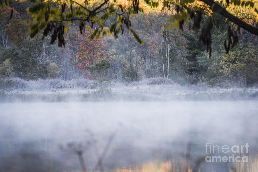 Morning Mist Photograph by Joann Long