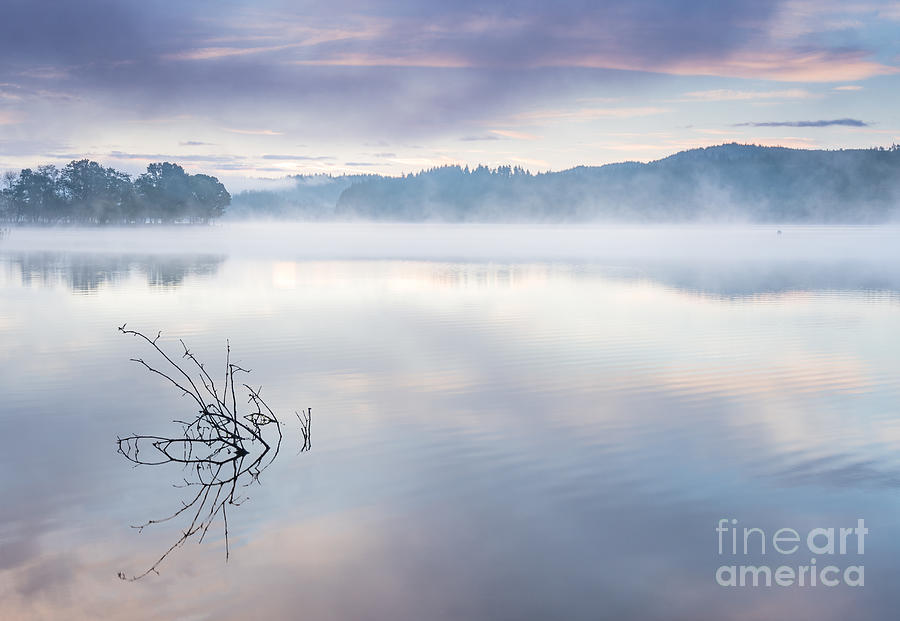 Morning Mist Loch Ard Photograph by Janet Burdon