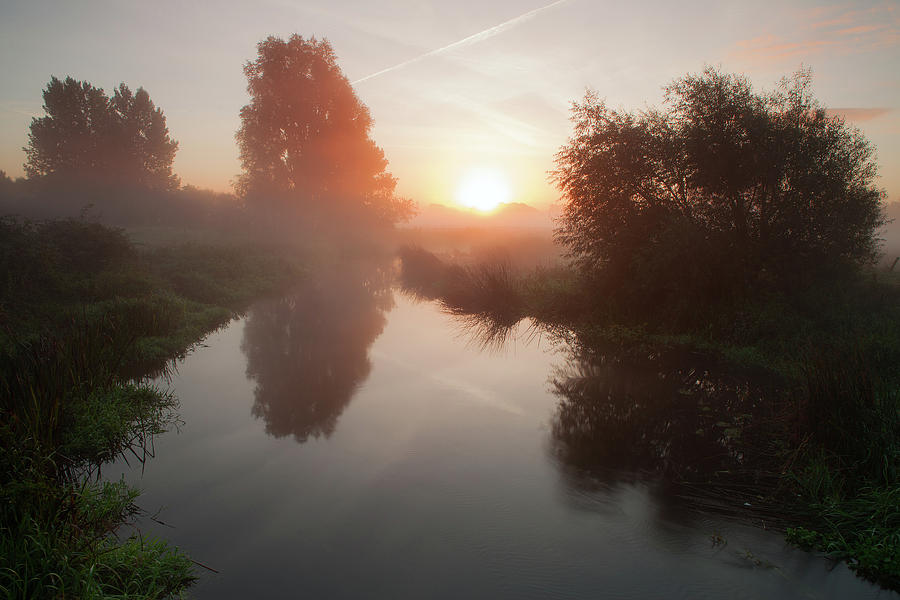 Morning Mist Photograph by Nick Atkin