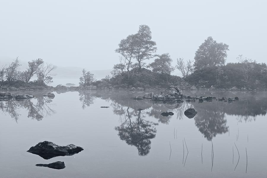 Morning mist on Rannoch Moor Photograph by Stephen Taylor