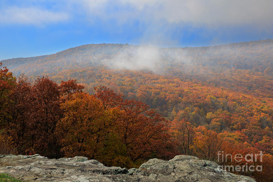 Morning mist on Skyline Drive at Franklin Cliffs Overlook Photograph by Louise Heusinkveld