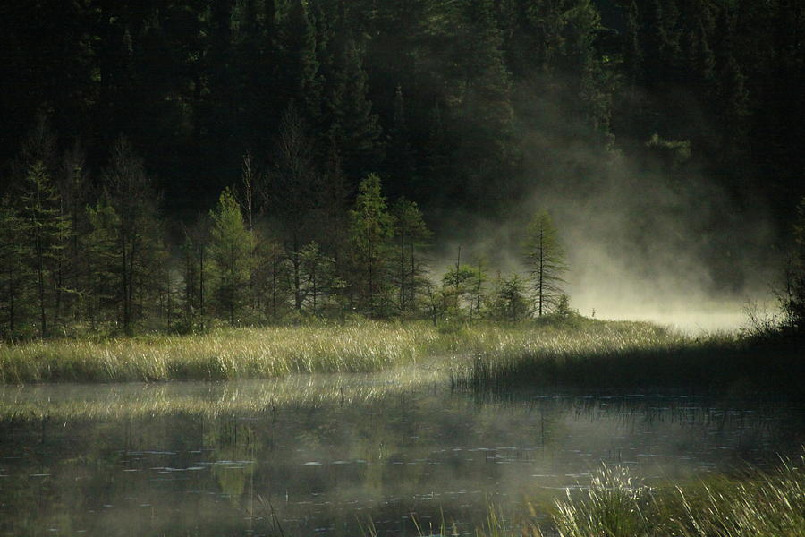 Nature Photograph - Morning mist on the Gunflint Trail by Joi Electa