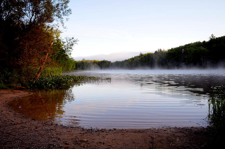 Tree Photograph - Morning Mist on the Pond by Jennifer Englehardt