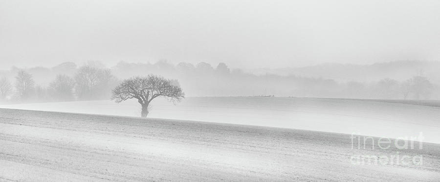 Morning Mist. Photograph by Richard Burdon