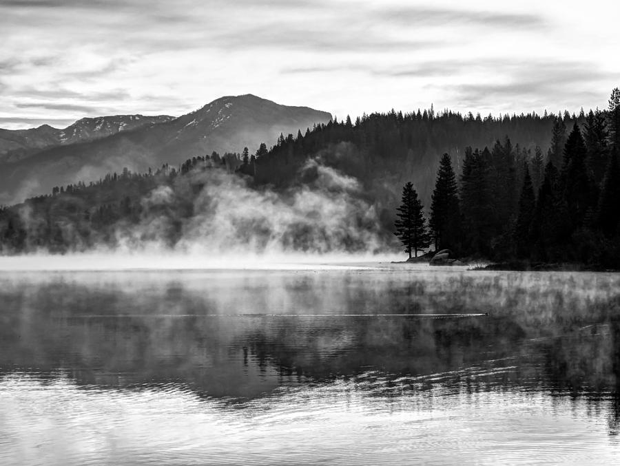 Morning Mist Rising Photograph by Joan Baker