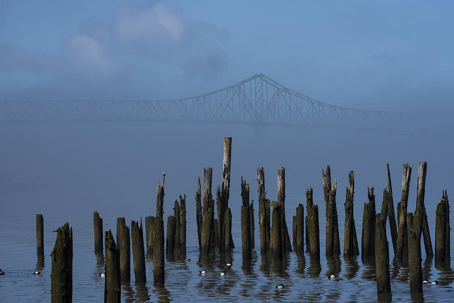 Morning Mist Photograph by Robert Potts