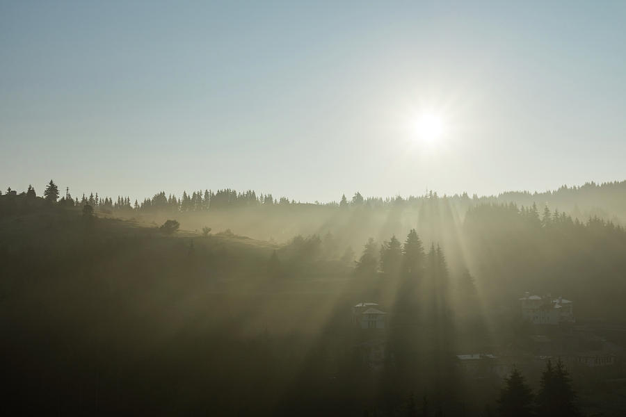 Morning Mist Sunrays Photograph by Georgia Mizuleva