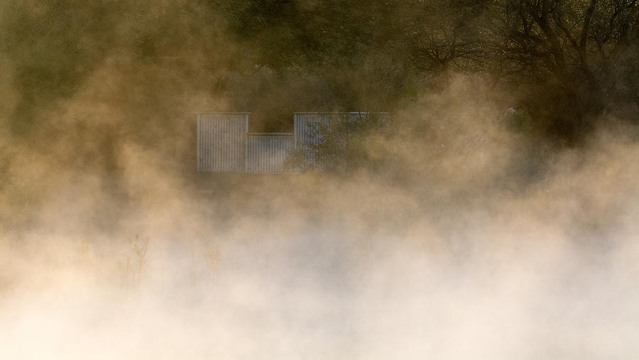 Morning Mist Photograph by Tam Ryan