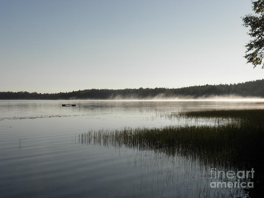 Morning Mist Photograph by Vivian Martin