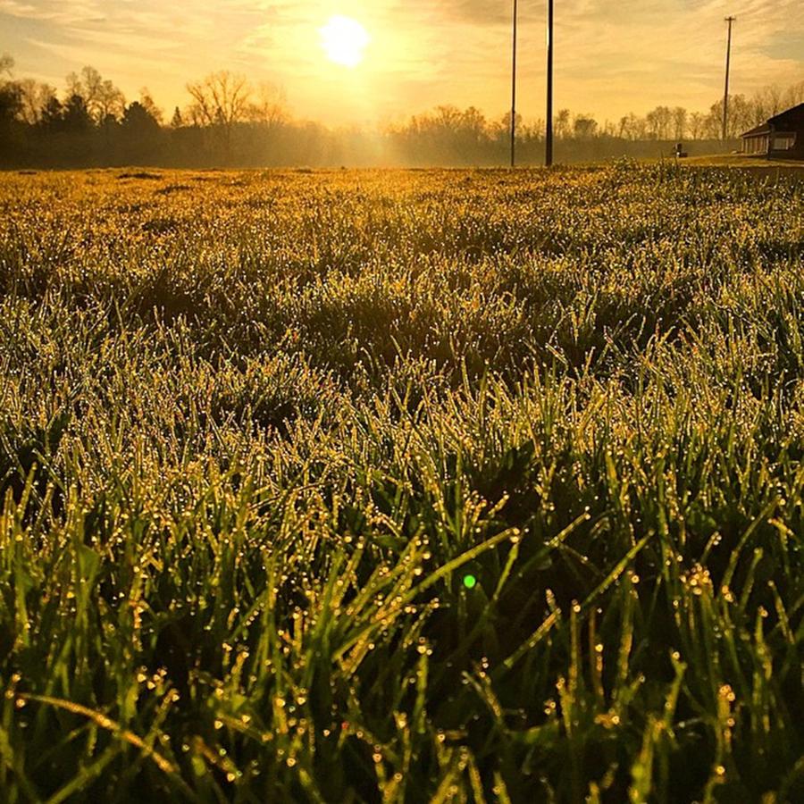 Spring Photograph - Morning. #morning #ohio #sunrise #dew by Ben Strahsburg