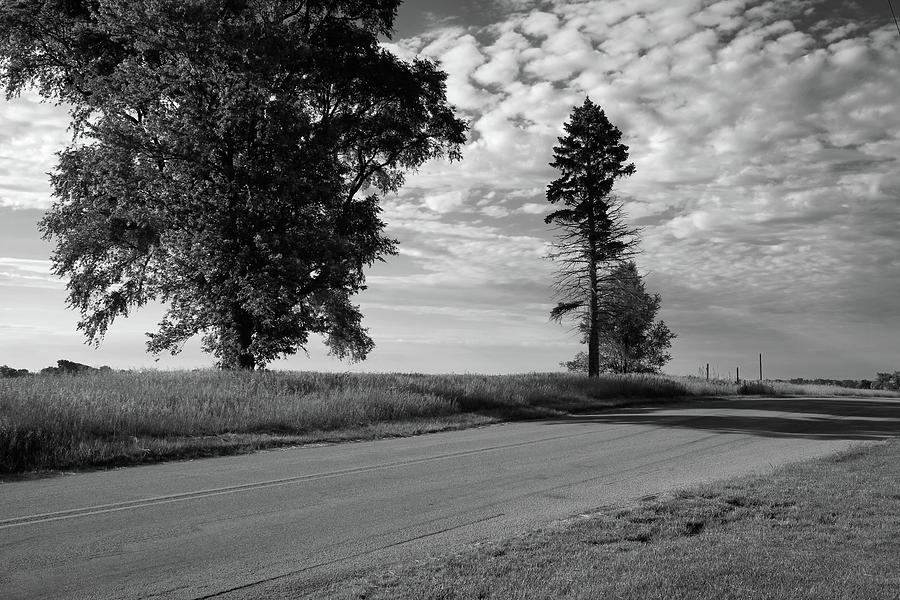 Morning on a Country Road Photograph by Scott Kingery