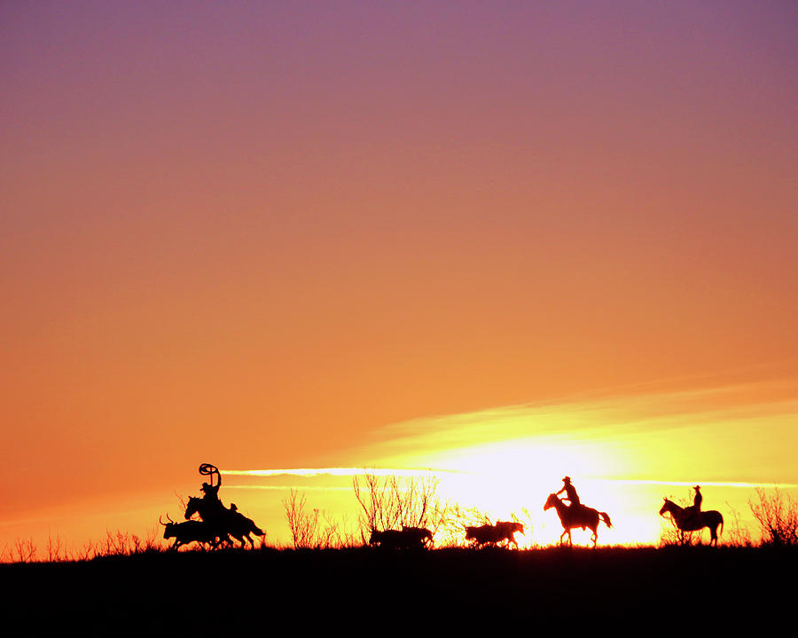 Morning On The Chisholm Trail Photograph by Christopher McKenzie