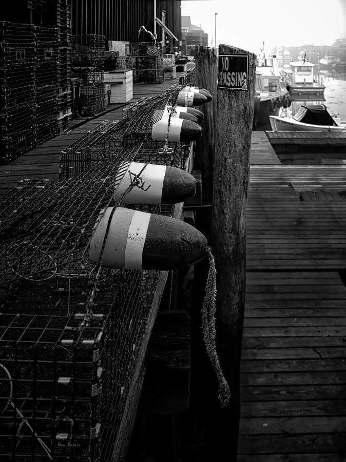 Morning on the docks Photograph by Bob Orsillo