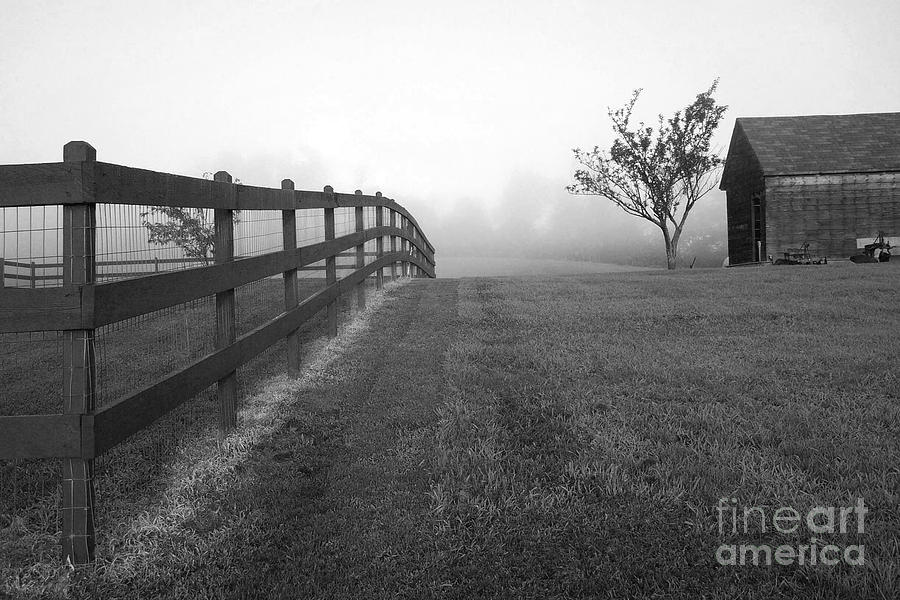 Black And White Photograph - Morning On The Farm        BW by Linda Drown
