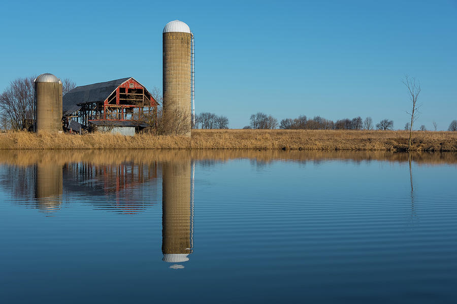 Morning on the Farm by Brad Bellisle Morning on the Farm by Brad Bellisle