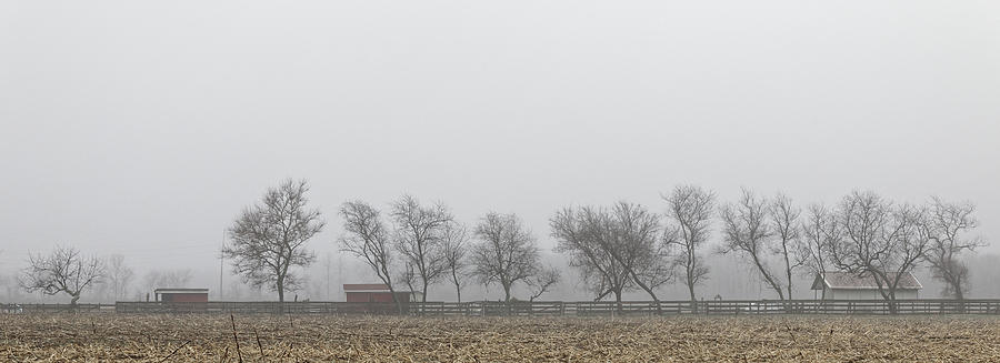 Morning on the farm Photograph by Steve Gravano