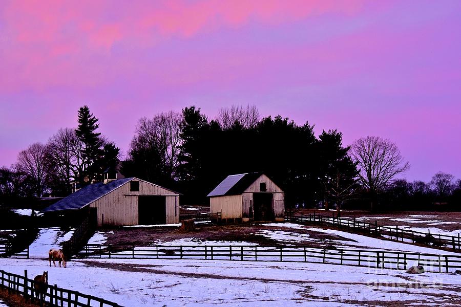 Morning on the farm... Photograph by Tracy Rice Frame Of Mind