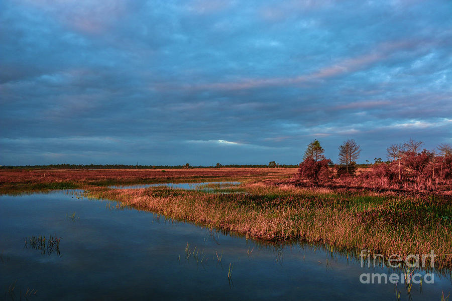 Morning on the Marsh Photograph by Tom Claud