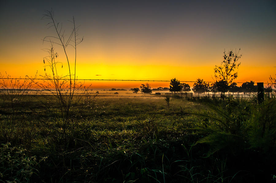 Landscape Photograph - Morning On The Meadow by Bob Marquis