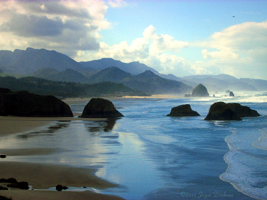 Morning On The Oregon Coast Photograph by Joyce Dickens