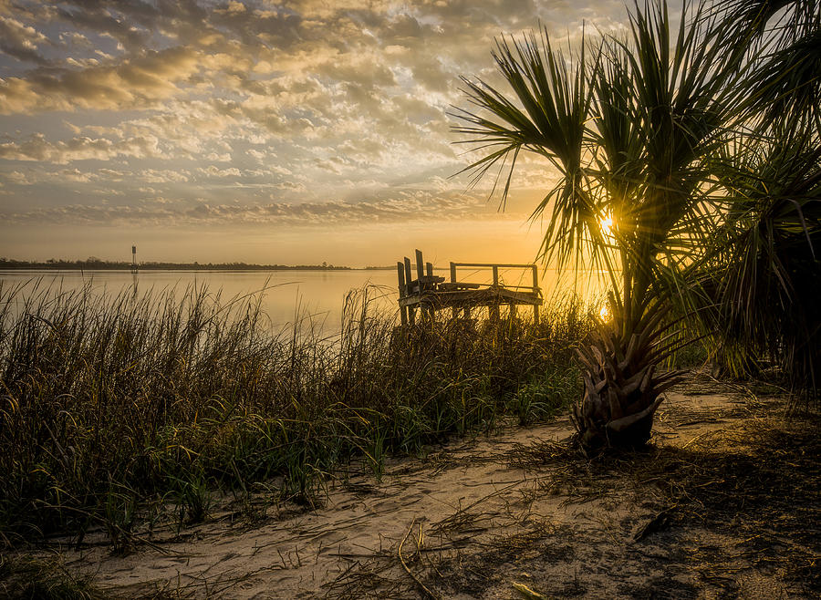 Morning on the Savannah RIver 2 Photograph by Matt Hammerstein