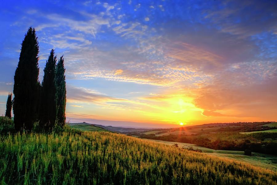 Morning On The Tuscan Plains  Photograph by Harriet Feagin