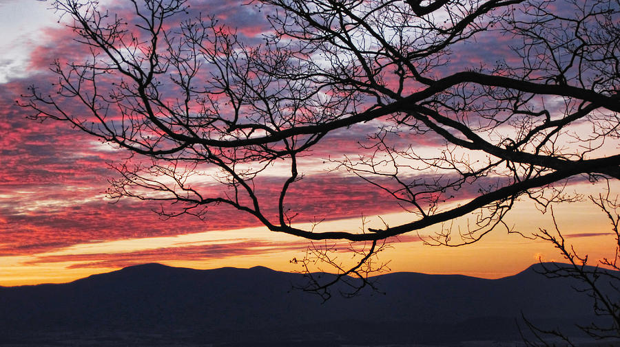 Morning Painted Blue Ridge Skies Photograph by Lara Ellis