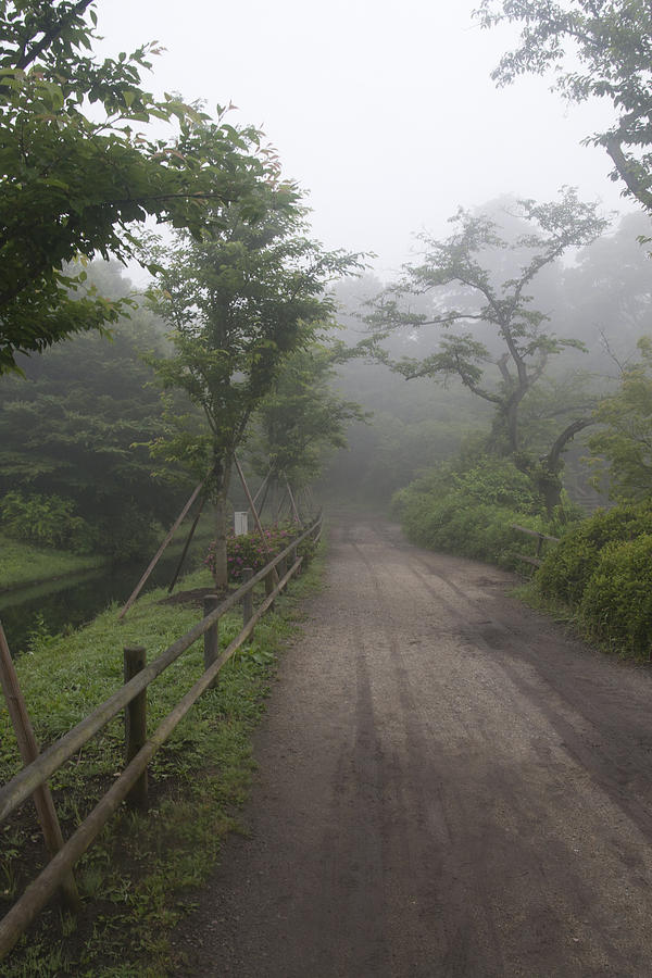 Morning Path Photograph by Masami Iida