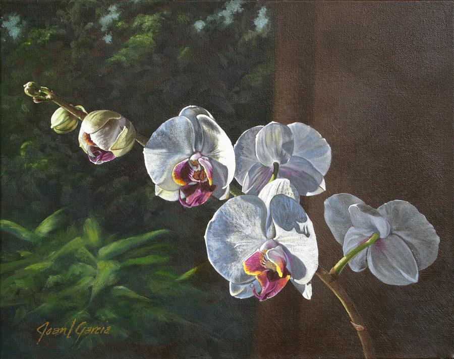 Morning Phaleanopsis Painting by Joan Garcia