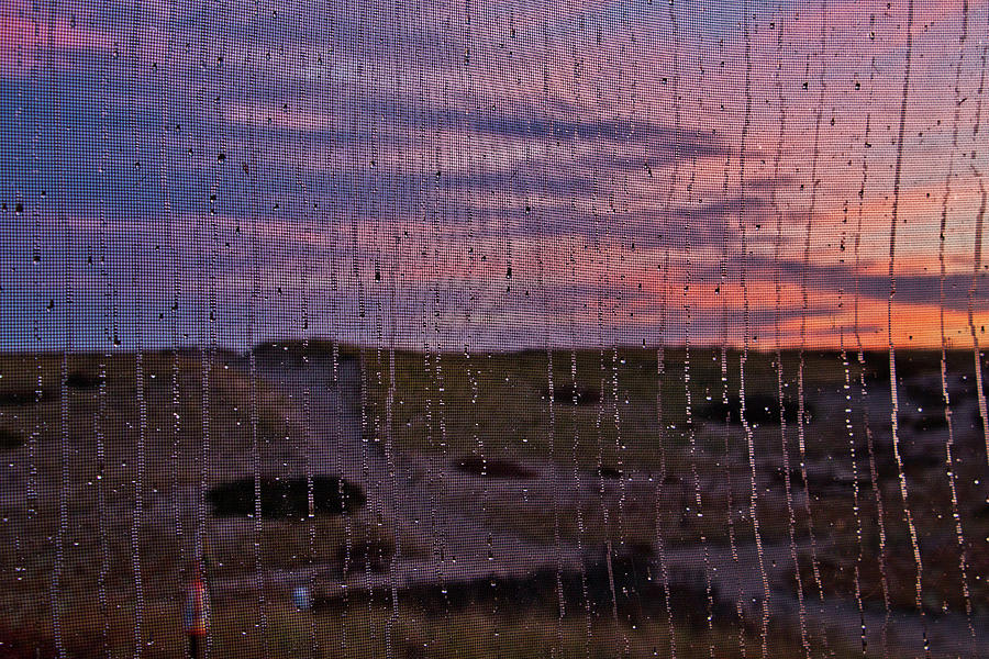 Morning Rain Remnants Photograph by Marisa Geraghty Photography