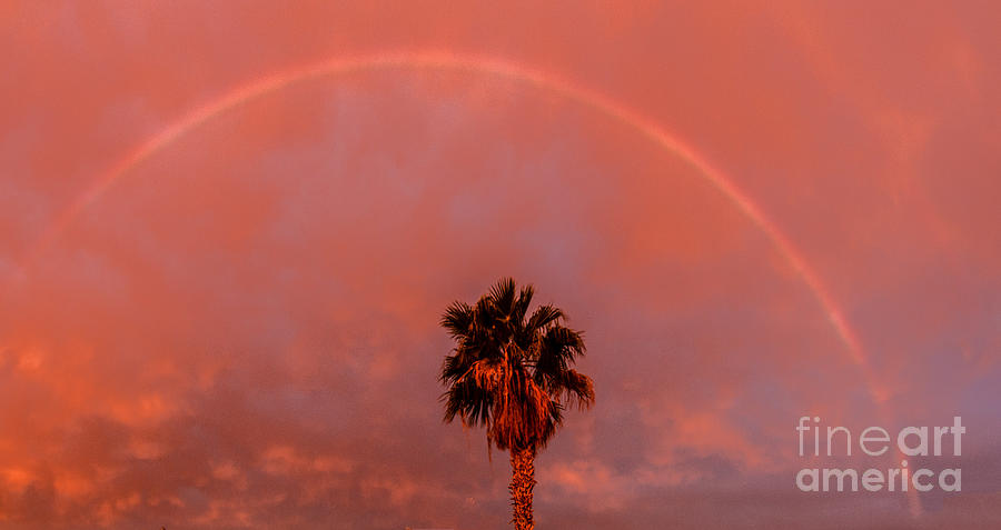 Morning Rainbow Photograph by Robert Bales