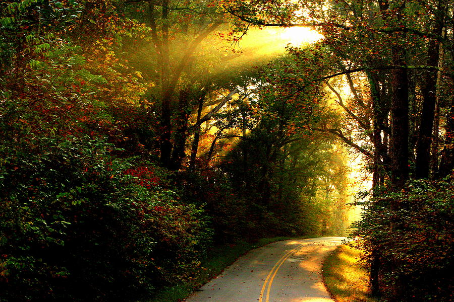 231 - Morning Rays in Pennyrile Photograph by Angela Comperry
